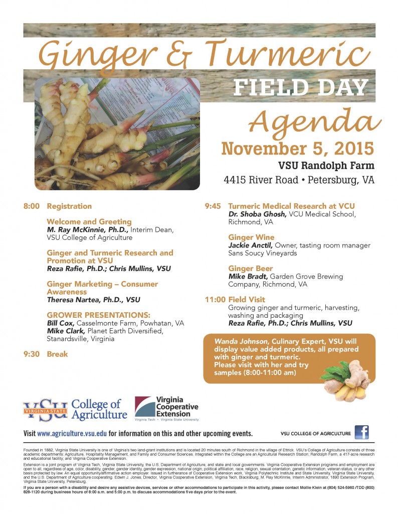 Ginger Turmeric Field Day